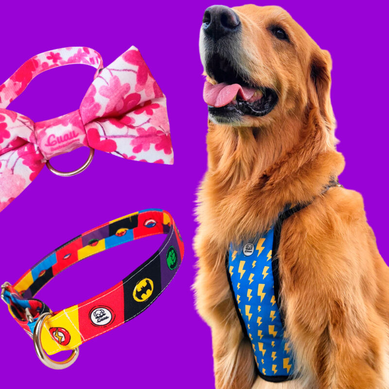Accesorios