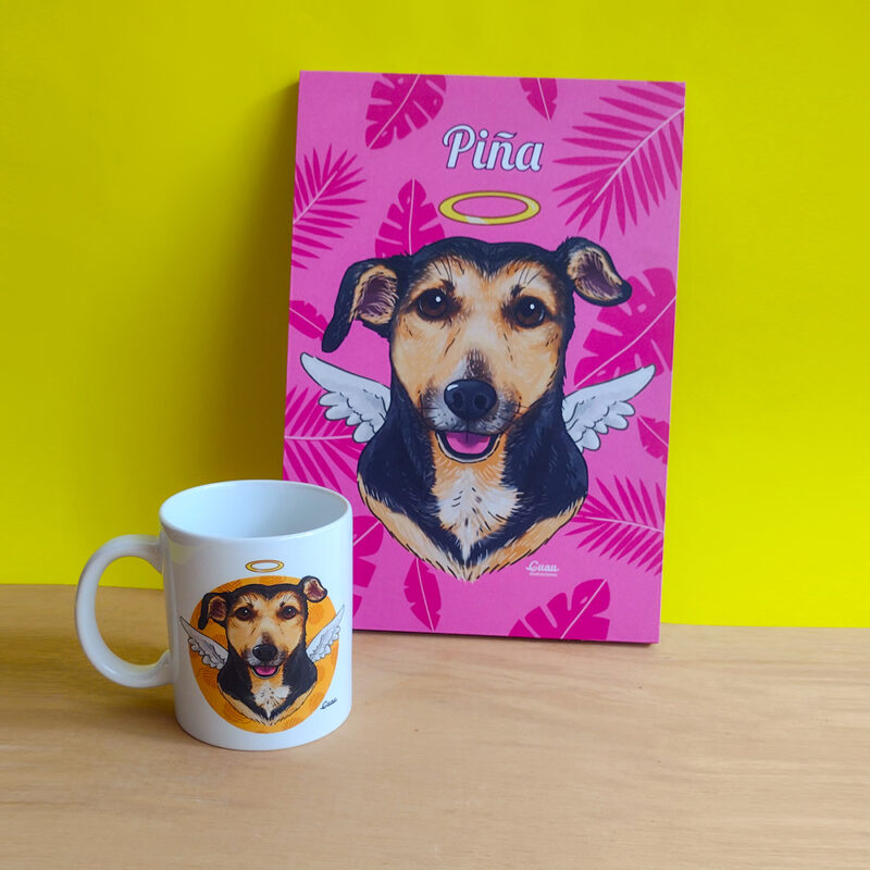 Combo Cuadro 29x20 cm + Mug