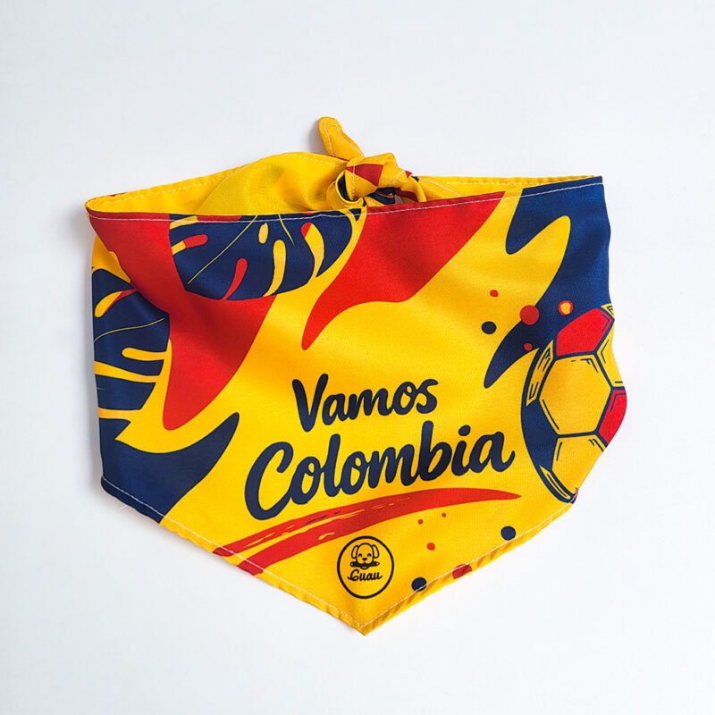 Pañoleta Vamos Colombia